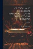 Critical and Exegetical Handbook to the Epistle to the Hebrews; Volume 19