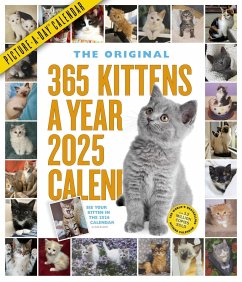 365 Kittens-A-Year Picture-A-Day(r) Wall Calendar 2025 - Workman Calendars