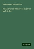 Die Karawanen-Strasse von Aegypten nach Syrien