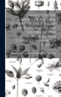 Cover Catalogue Of The Cabinet Of Natural History Of The State Of New York, And Of The Historical And Antiquarian Collection Annexed Thereto