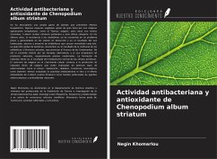 Actividad antibacteriana y antioxidante de Chenopodium album striatum - Khomarlou, Negin