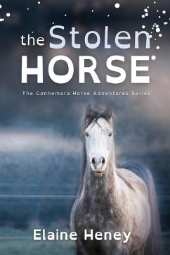 Cover The Stolen Horse - Dyslexia Friendly