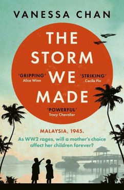Cover The Storm We Made