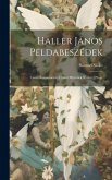 Haller János Peldabeszédek: (Gesta Romanorum) Czimü Müvének Nyelve. [Progr