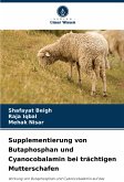 Supplementierung von Butaphosphan und Cyanocobalamin bei trächtigen Mutterschafen