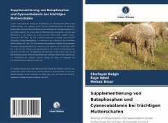 Supplementierung von Butaphosphan und Cyanocobalamin bei trächtigen Mutterschafen - Beigh, Shafayat;Iqbal, Raja;Nisar, Mehak