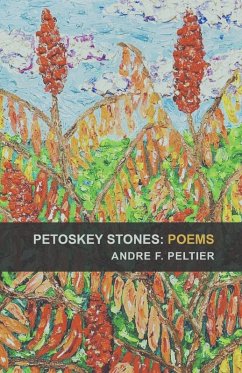 Cover Petoskey Stones