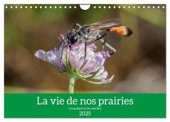 La vie de nos prairies - Les guêpes et les abeilles (Calendrier mural 2025 DIN A4 vertical), CALVENDO calendrier mensuel