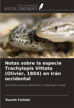 Notas sobre la especie Trachylepis Vittata (Olivier, 1804) en Irán occidental - Fattahi, Razieh