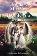 Ordinary Miracles - If Only You Believe - Bild 1