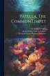 Patella, The Common Limpet - Bild 1