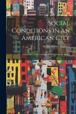 Social Conditions in an American City: A Summary of the Findings of the Springfield Survey