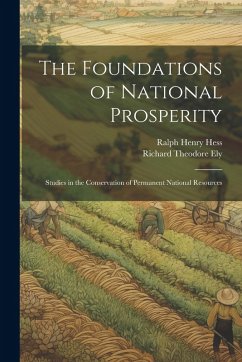 Cover The Foundations of National Prosperity: Studies in the Conservation of Permanent National Resources