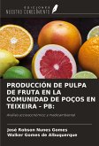 PRODUCCIÓN DE PULPA DE FRUTA EN LA COMUNIDAD DE POÇOS EN TEIXEIRA - PB: