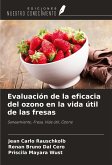 Evaluación de la eficacia del ozono en la vida útil de las fresas