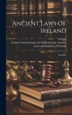 Ancient Laws Of Ireland: Glossary