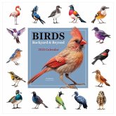 Cal 2025- Birds: Backyard and Beyond Wall Cal 2025- Birds: Backyard and Beyond Wall