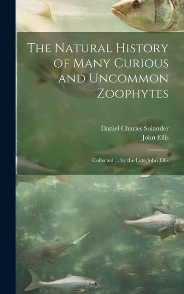 The Natural History of Many Curious and Uncommon Zoophytes: Collected ... by the Late John Ellis The Natural History of Many Curious and Uncommon Zoophytes: Collected ... by the Late John Ellis