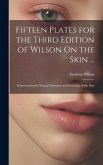 Fifteen Plates for the Third Edition of Wilson On the Skin ...: Representing the Normal Anatomy and Pathology of the Skin Fifteen Plates for the Third Edition of Wilson On the Skin ...: Representing the Normal Anatomy and Pathology of the Skin