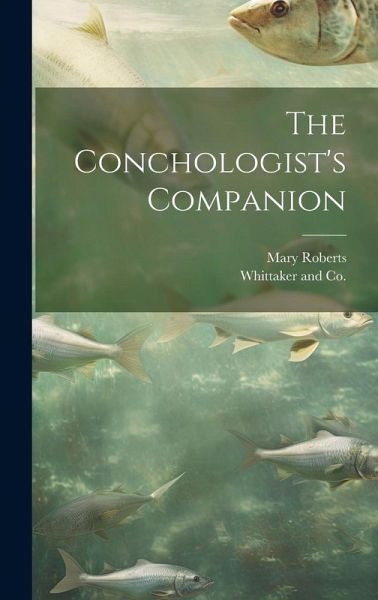 The Conchologist's Companion The Conchologist's Companion