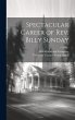 Spectacular Career of Rev. Billy Sunday - Bild 1