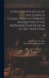 A Descriptive Atlas of the Cesnola... - Bild 1