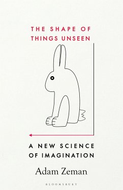 The Shape of Things Unseen - Zeman, Adam