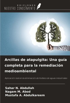 Arcillas de atapulgita: Una guía completa para la remediación medioambiental - N. Abdullah, Sahar; M. Abod, Nagam; A. Abdulkareem, Mustafa