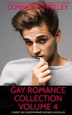 Gay Romance Collection Volume 4