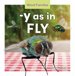 Cover -Y as in Fly