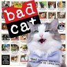 Bad Cat Wall Calendar 2025 - Bild 1