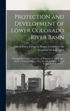 Protection and Development of Lower Colorado River Basin: Hearings Before the Committee on Irrigation of Arid Lands: House of Representatives, Sixty-S