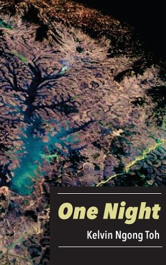 Cover One Night