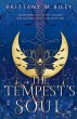 The Tempest's Soul - Bild 1