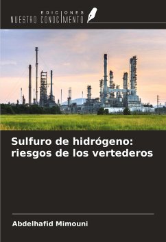 Cover Sulfuro de hidrógeno: riesgos de los vertederos