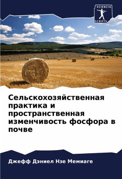 Sel'skohozqjstwennaq praktika i prostranstwennaq izmenchiwost' fosfora w pochwe - Nze Memiage, Dzheff Däniel