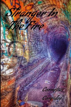 Cover Stranger In The Fire