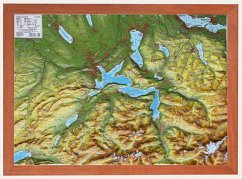 Cover Zentralschweiz, Reliefkarte klein 1:200.000 mit Holzrahmen