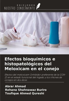 Efectos bioquímicos e histopatológicos del Meloxicam en el conejo - Ahmad, Abrar; Buriro, Rehana Shahnawaz; Qureshi, Toufique Ahmed