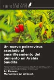 Un nuevo polerovirus asociado al amarilleamiento del pimiento en Arabia Saudita Un nuevo polerovirus asociado al amarilleamiento del pimiento en Arabia Saudita