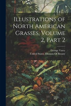 Cover Illustrations of North American Grasses, Volume 2, part 2