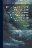 De La Foudre, De Ses Formes Et De Ses Effets Sur L'homme, Lea Animaux, Les Végétaux Et Les Corps Bruts ...