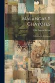 Malangas Y Chayotes: Colección De Semblanzas