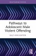 Pathways to Adolescent Male Violent... - Bild 1