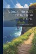 A Short History of the Irish People - Bild 1
