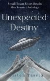 Unexpected Destiny Unexpected Destiny