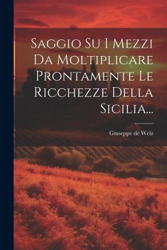 Cover Saggio Su I Mezzi Da Moltiplicare Prontamente Le Ricchezze Della Sicilia...