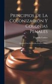 Principios De La Colonizacion Y Colonias Penales [microform]: (segunda Parte De Estudios Penitenciarios)...