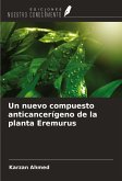 Un nuevo compuesto anticancerígeno de la planta Eremurus Un nuevo compuesto anticancerígeno de la planta Eremurus
