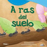 A Ras del Suelo A Ras del Suelo